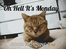 monday-oh-hell-its-monday.gif