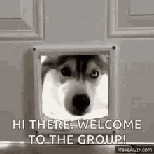 welcome-to.gif