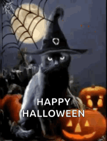 halloween-blackcats.gif
