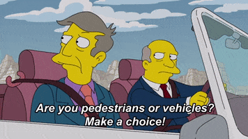 Choose The Simpsons GIF by Animation Domination